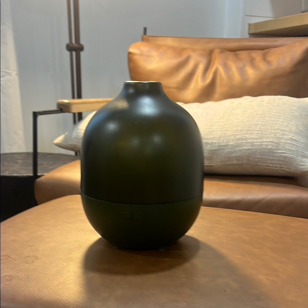 Modern Black and Green Vase with Minimalist Design